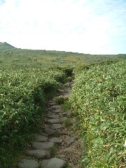 登山道の様子