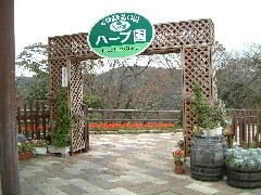 ハーブ園