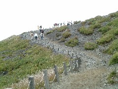 登山道