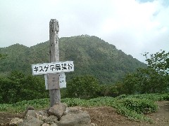 キスゲ平から丸山を望む