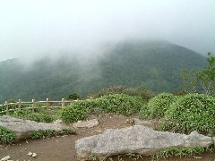 丸山山頂から赤薙山を望む