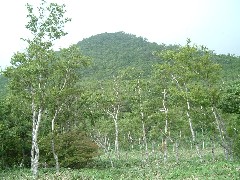 八平ガ原から丸山を望む