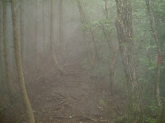 登山道の様子