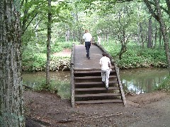 湯川を渡る