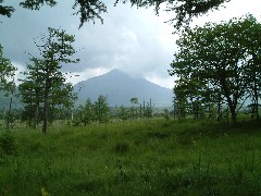 戦場ヶ原展望地