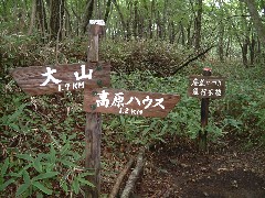 廃道との分岐